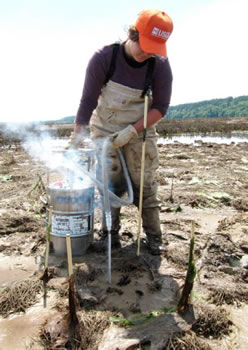 Sediment Marker Horizon